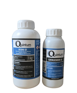 KIT  de resina epóxica Q1